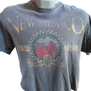 Large Boxy T-shirt New Mexico Distressed Graphic Tee American Highway Gray